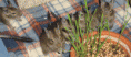 /album/mali-osmakove/animace-hl-strana-gif/